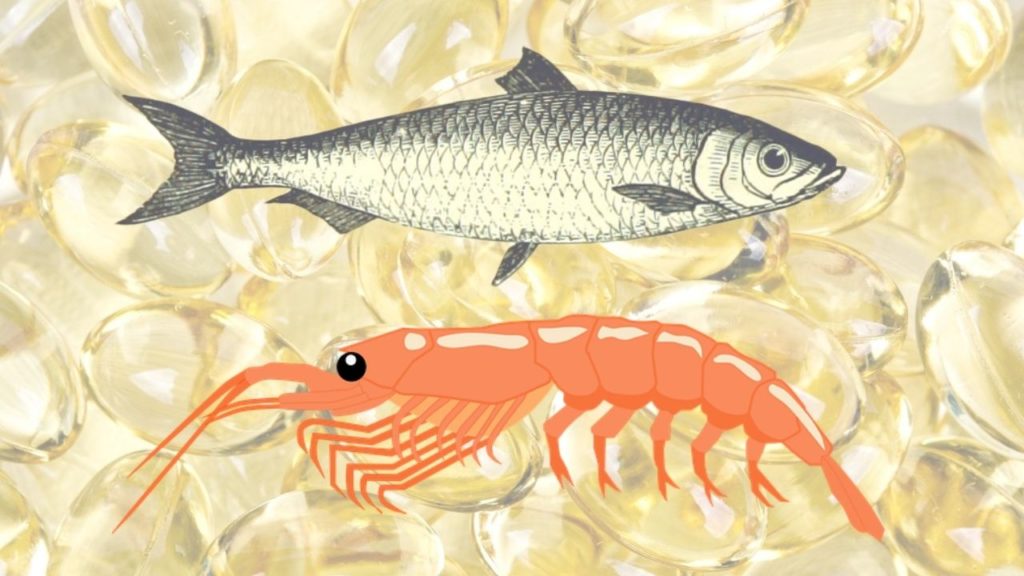 🐟 VS 🦐 Oméga3 Huile de Krill ou Huile de Poisson ? Faites le Bon Choix