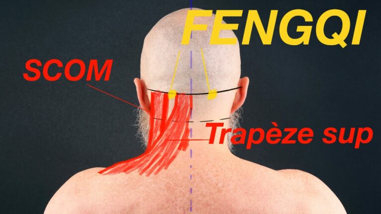 Le point d'acupuncture FengQi ou GB20 contre le stress, les maux de têtes et douleurs cervicales.