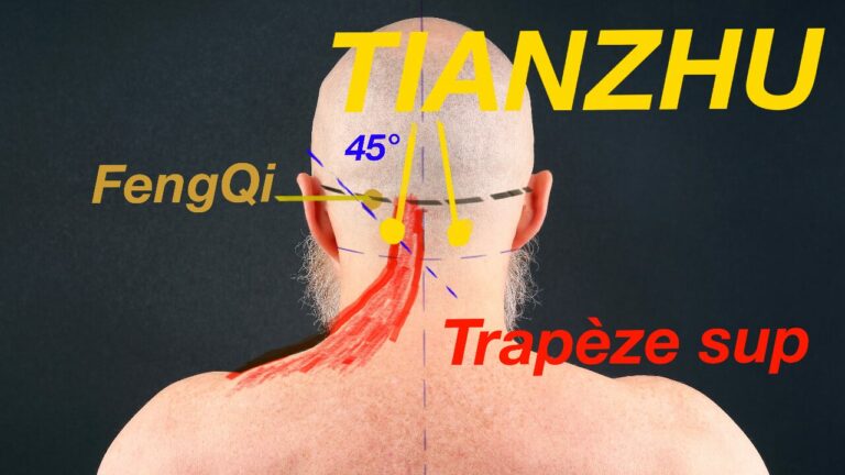 Le point d'acupuncture TainZhu ou UB10 contre le stress, les maux de tête, les vertiges et pour améliorer la mémoire.