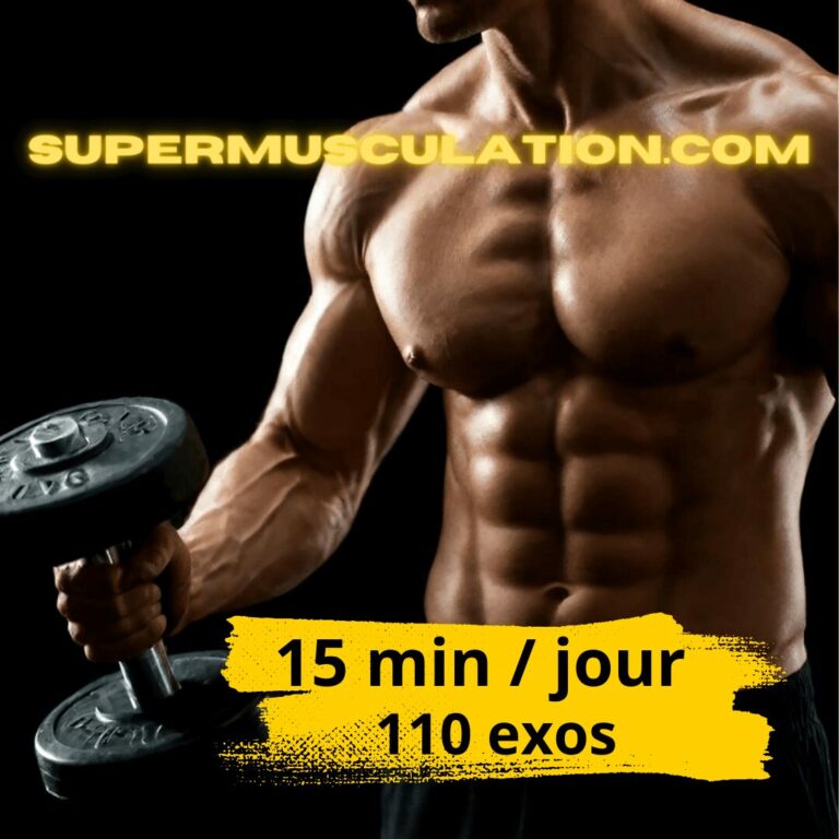 programme de musculation en ligne