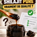 Shilajit Pur : les critères essentiels pour choisir le meilleur shilajit